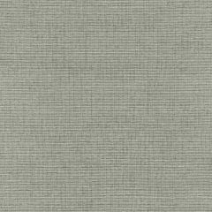 F Schumacher Delacroix Silk Ottoman Nickel 549651 Chroma Collection Indoor Upholstery Fabric