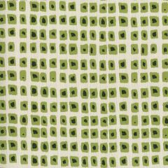 Perennials Paintbox Wasabi 751-305 Porter Teleo Collection Upholstery Fabric