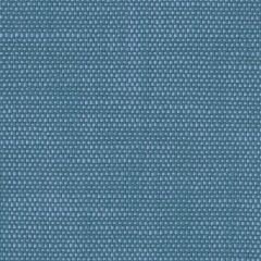 Perennials Rough 'n Rowdy Cornflower 955-304 Beyond the Bend Collection Upholstery Fabric