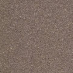 Beacon Hill Marbled Flax Ash 246668 Linen and Velvet Textures Collection Indoor Upholstery Fabric