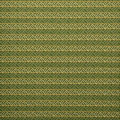 Duralee Tribe-Wasabi by Jalene Kanani 90883-609 Decor Fabric