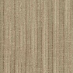 F Schumacher Antique Strie Velvet Sparrow 69741 Perfect Basics: Antique Strie Velvet Collection Indoor Upholstery Fabric