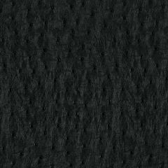 Robert Allen Harvest Moon Black 195427 Color Library Collection Indoor Upholstery Fabric