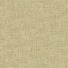 Kravet Contract Beige 4161-1116 Wide Illusions Collection Drapery Fabric