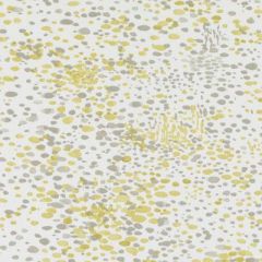 Duralee Yellow 72095-66 Zen Garden Wovens and Prints Collection Multipurpose Fabric