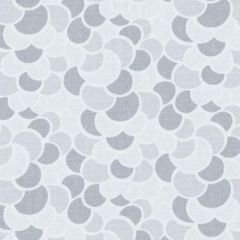 Duralee Twee-Pewter by Eileen K. Boyd 21090-296 Decor Fabric