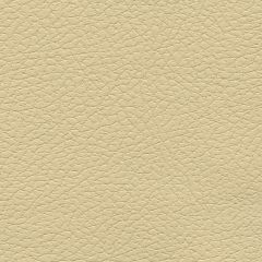 F. Schumacher Brisa Camel 303-3960 Ultraleather Collection