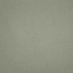 F. Schumacher Constellation Sea Salt 175882 Steel Magnolia Collection Upholstery Fabric