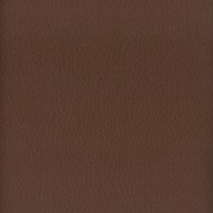 Stout Lodge Cocoa 13 Leather Looks III Performance Collection Indoor Upholstery Fabric