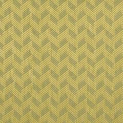 Robert Allen Lifted Look Citron 215261 Indoor Upholstery Fabric