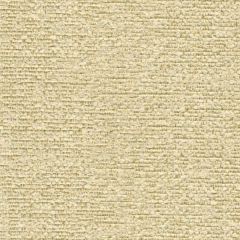 Kravet Esteem Bamboo 31963-14 by Candice Olson Indoor Upholstery Fabric