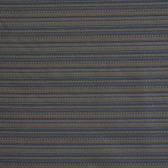 Robert Allen Contract Offbeat-Larkspur 169431 Decor Upholstery Fabric