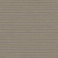Sunbrella by Mayer Huipil Stone 450-000 Wonderlust Collection Upholstery Fabric
