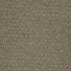 Beacon Hill Lecco Basket Taupe 238992 Chenille Solids Indoor Upholstery Fabric