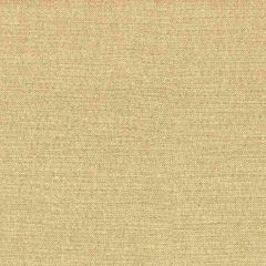 Stout Cardinal Raffia 7 on the Go Collection Indoor Upholstery Fabric