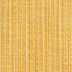 Perennials Stree-Yay! Topaz 942-255 Kidding Around Collection Upholstery Fabric