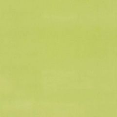 Duralee Lime 15644-213 Decor Fabric