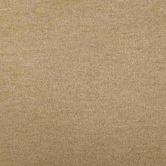 Kravet Design Fume LZ-30202-5 Lizzo Collection Indoor Upholstery Fabric