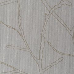 Winfield Thybony Sycamore Dawn WHF3069 Wall Covering