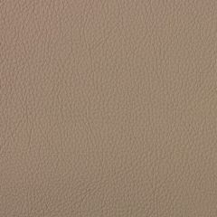 Aura Retreat Reed SCL-029 Upholstery Fabric