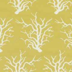 Duralee Canary 15702-268 Indoor-Outdoor Wovens Collection by ThomasPaul Upholstery Fabric