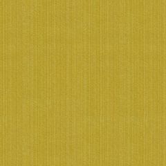 Kravet Contract Strie Velvet 33353-123 Guaranteed in Stock Indoor Upholstery Fabric