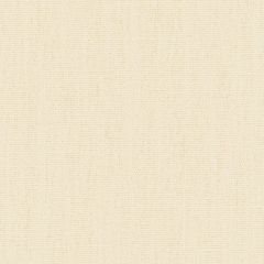 Kravet Basics White 33771-1001 Perfect Plains Collection Multipurpose Fabric