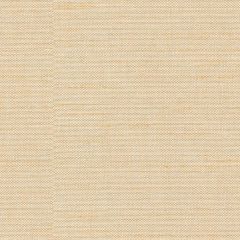 Kravet Basics Beige 3771-1116 Drapery Fabric