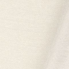Beacon Hill Mulberry Silk Frost 230505 Silk Solids Collection Drapery Fabric