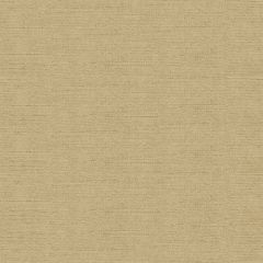 Kravet Vetro Golden 34128-1166 Jan Showers Glamorous Collection Indoor Upholstery Fabric
