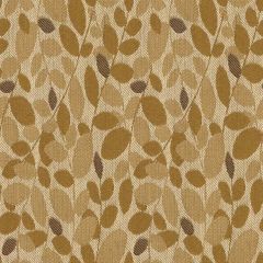 Kravet Contract Branch Out Honey 32250-411 Indoor Upholstery Fabric