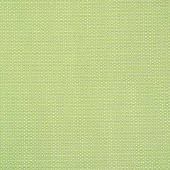 F Schumacher Queen B II Green 176560 Indoor / Outdoor by Studio Bon Collection Upholstery Fabric