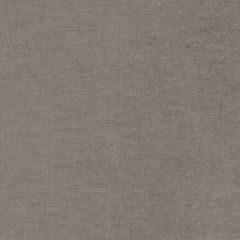 Robert Allen Chenille Luxe Mica Performance Chenille Collection Indoor Upholstery Fabric