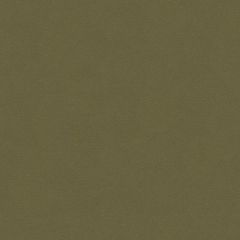 Lee Jofa Highland Mole 2014141-368 Indoor Upholstery Fabric