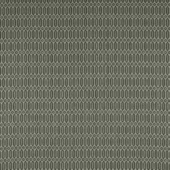 Gaston Y Daniela Varese Onyx GDT5321-1 Tierras Collection Indoor Upholstery Fabric
