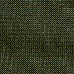Robert Allen Contract Meadow Garden Moss 194318 Indoor Upholstery Fabric