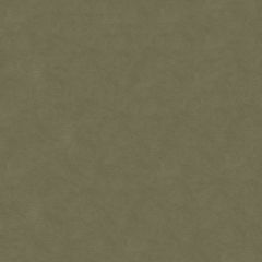 Lee Jofa Ultimate Mink 960122-1121 Ultimate Suede Collection Indoor Upholstery Fabric