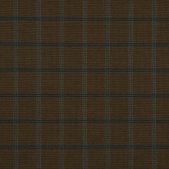 Beacon Hill Raffia Panel Walnut 215218 Indoor Upholstery Fabric