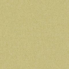 Mayer Fedora Eucalyptus 621-023 Indoor Upholstery Fabric