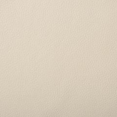 Kravet Sela Beige 16 Indoor Upholstery Fabric