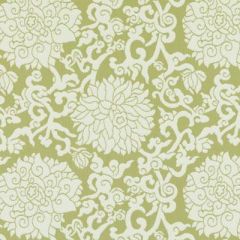 Duralee Spring Green 15696-254 Indoor/Outdoor Wovens Pavilion Collection by Thomas Paul Upholstery Fabric