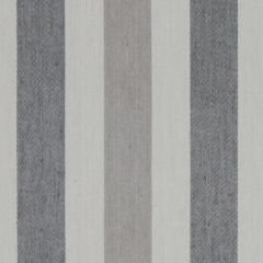Beacon Hill Lotus Stripe-Silver Coal 225984 Decor Multi-Purpose Fabric