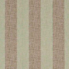 Robert Allen Adios Lettuce 508727 Epicurean Collection Indoor Upholstery Fabric