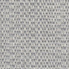 Perennials Wild and Wooly Whitewash 976-328 Rodeo Drive Collection Upholstery Fabric