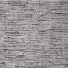Robert Allen Nyanko-Silver 243369 Decor Multi-Purpose Fabric