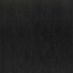 Stout Elbert Coal 2 Leather Looks III Performance Collection Indoor Upholstery Fabric