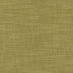 Duralee Lime DK61836-213 Pirouette All Purpose Collection Multipurpose Fabric
