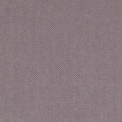 Duralee Wisteria 36293-241 Decor Fabric