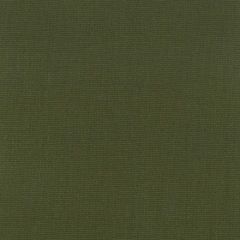 Stout Oakley Jungle 27 Fairwind Canvas Collection Multipurpose Fabric