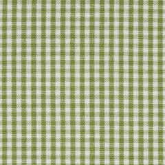 F Schumacher Barnet Cotton Check Leaf 64638 New Traditional: Provenal Collection Indoor Upholstery Fabric